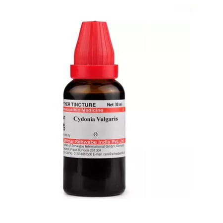 Dr Willmar Schwabe India Cydonia Vulgaris Mother Tincture Q -30 Ml